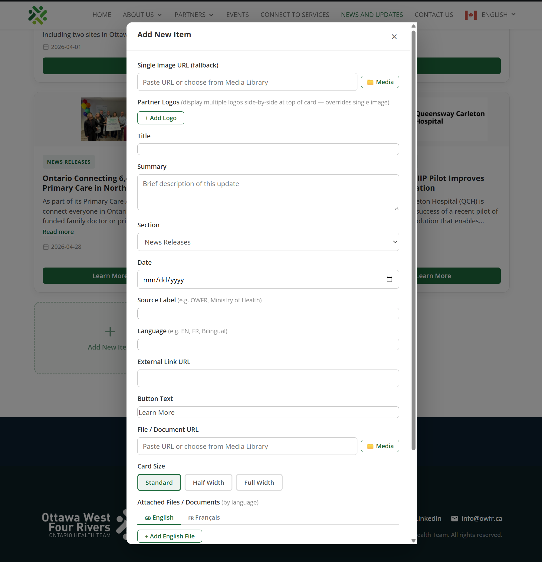 Screenshot of the Add New Item form